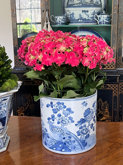 large orchid plant pot Large Orchid Planter Pot with Bird & Floral Motif – Affordably Chic Art