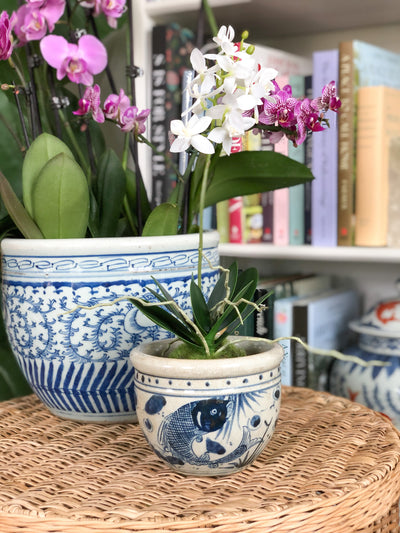 chinoiserie plant pots Small Chinoiserie Fish Planter Pot – Affordably Chic Art