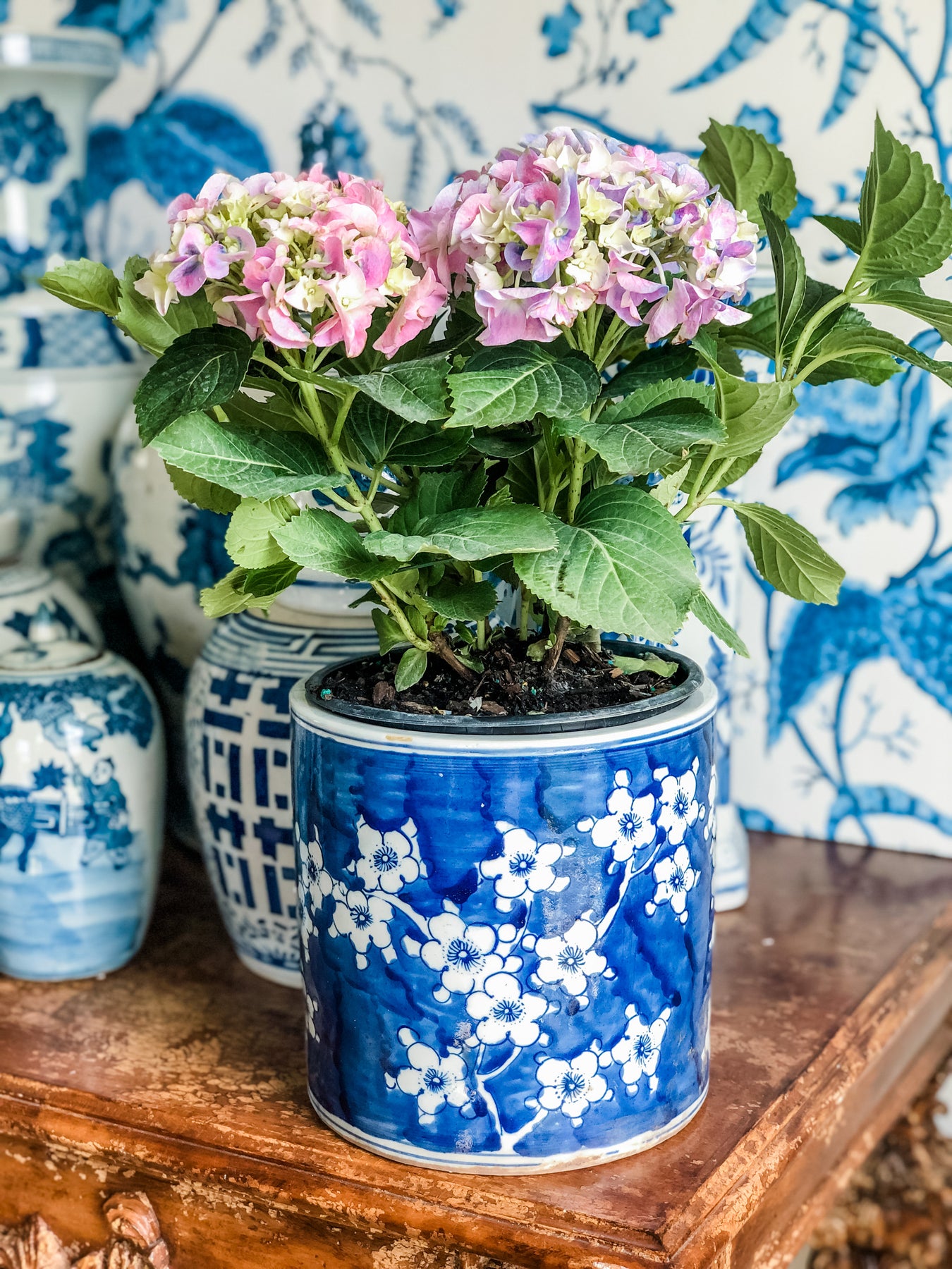 orchid plant pots large Cherry Blossom Large Orchid Planter Pot – Affordably Chic Art