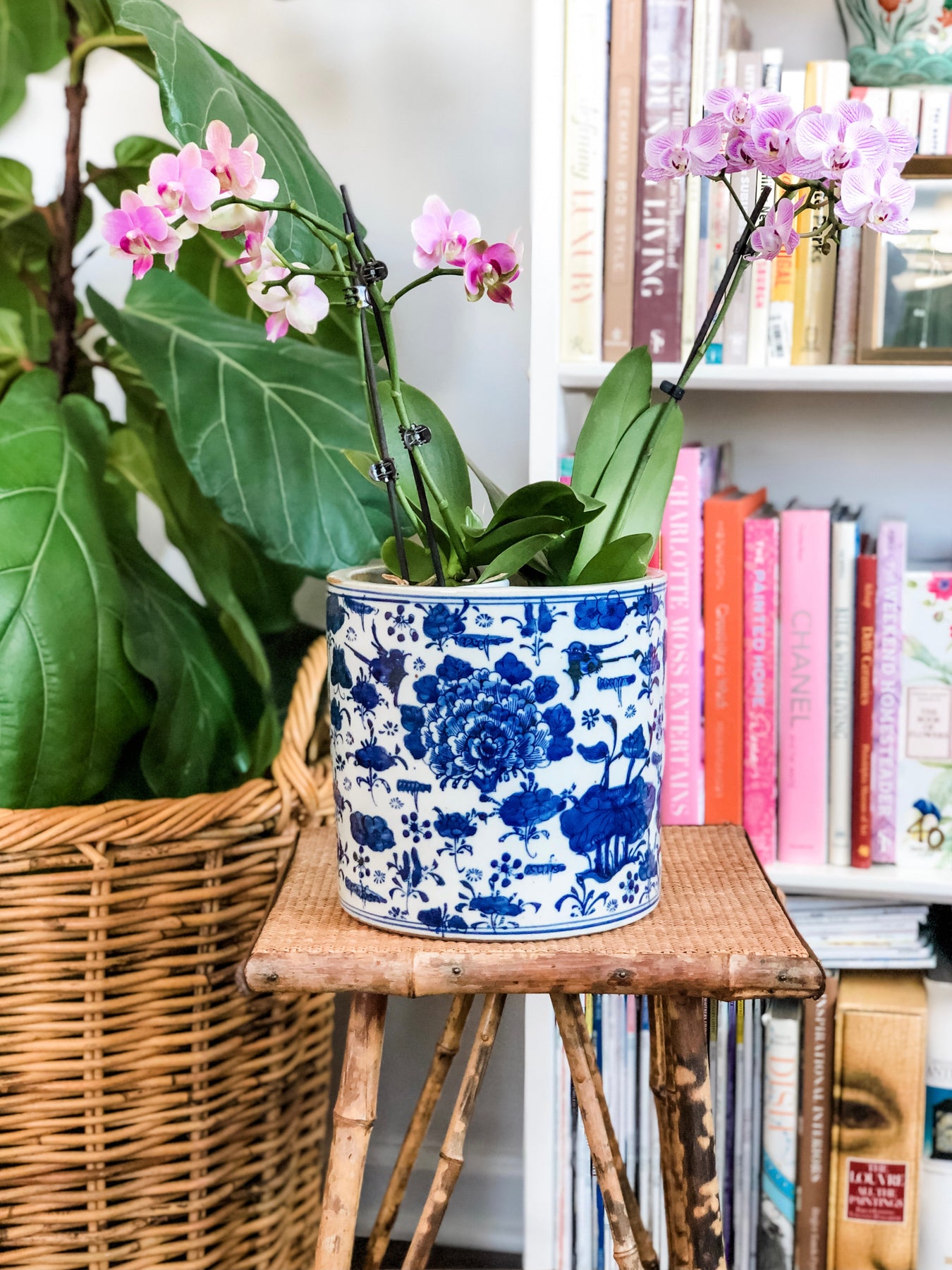 chanel plant pot Fabulous Floral & Lotus Large Orchid Planter Pot – Affordably Chic Art